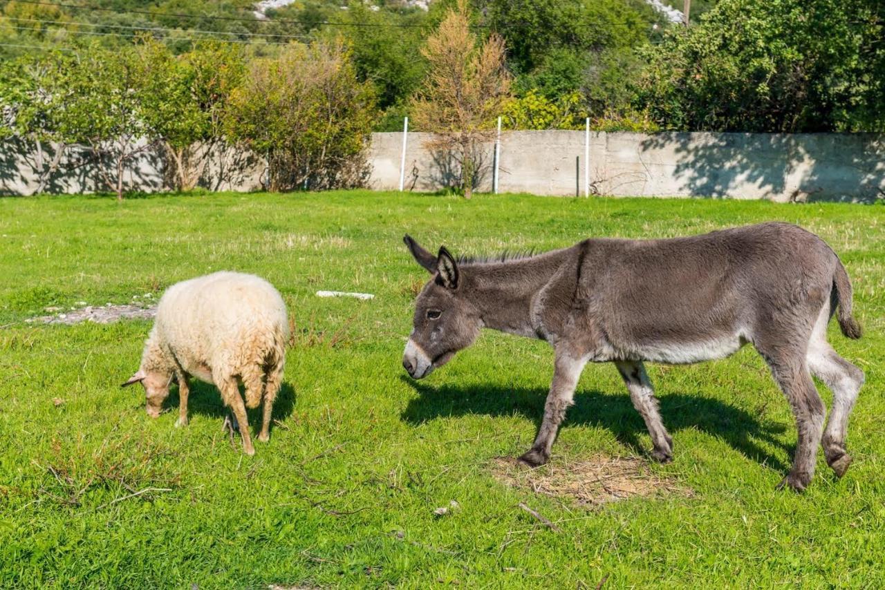 Luki Home Dubrovnik Kültér fotó
