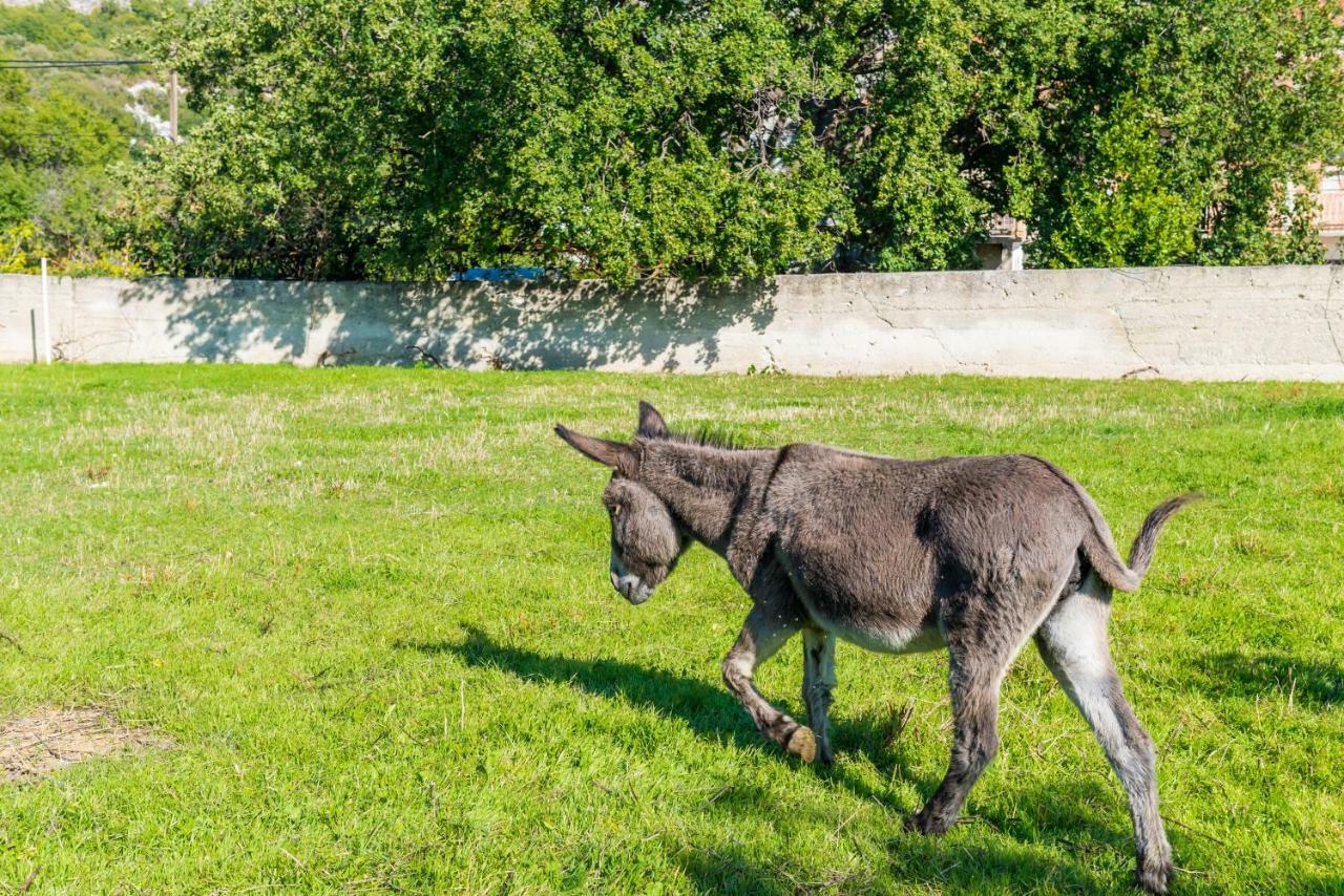 Luki Home Dubrovnik Kültér fotó