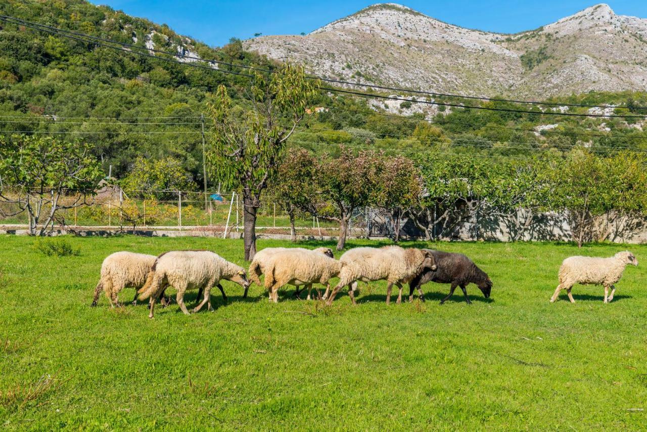 Luki Home Dubrovnik Kültér fotó